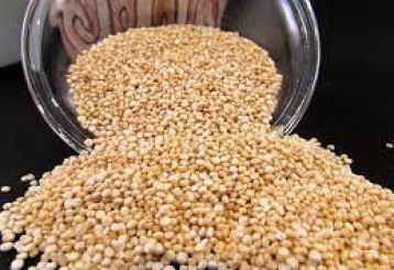 Mais sobre post: Propriedades da Quinoa 